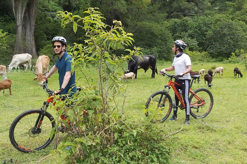 Oaxaca: Tour di 1 giorno del Canyon di Ejutla in biciclettaPrezzo a partire da 4 persone