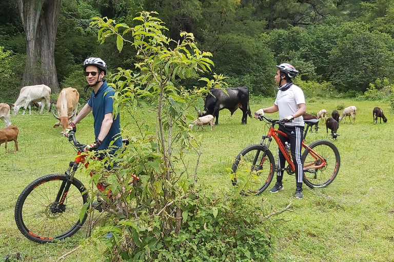 Oaxaca: Tour di 1 giorno del Canyon di Ejutla in biciclettaPrezzo a partire da 8 persone