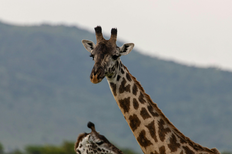 Livingstone: Mosi-oa-Tunya Park, Falls & Sunset Cruise