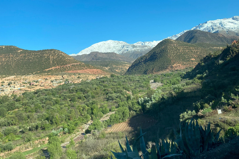 Marrakech à la vallée de l&#039;Ourika - Excursion d&#039;une journée avec déjeuner et cascadeExcursion d&#039;une journée panoramique de Marrakech à la vallée de l&#039;Ourika, déjeuner et ca