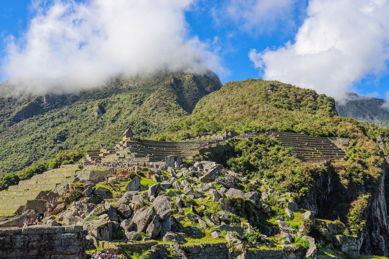 Machu Picchu: Official Ticket – Choose Circuit 1, 2 or 3 2A – Classic Designed Route