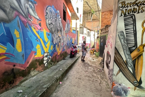 Explorer les racines afro-brésiliennes : visite privée de la ville de Salvador".