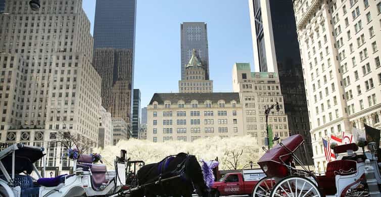 NYC:Guided Central Park Horse Carriage Ride | GetYourGuide
