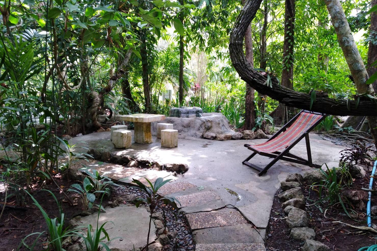Krabi: Hot Spring Entry Ticket