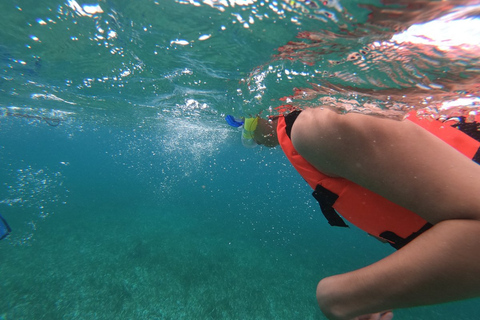 Isla Mujeres: Catamarantocht met snorkel en Playa NorteRondreis vanuit Cancún