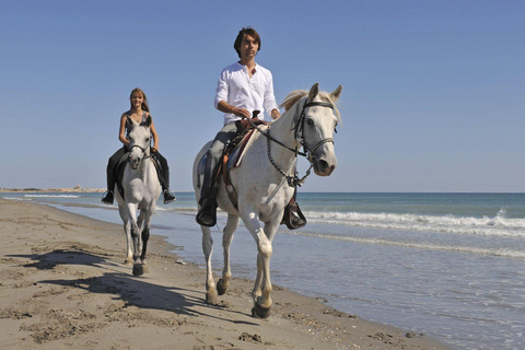 Soma Bay: Reittour mit HoteltransferSoma Bay: Reittour ohne Hoteltransfer