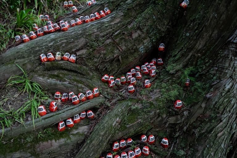 Osaka: Katsuoji Temple Guided Tour with Bus Transfer Private Tour in English with Meeting Point