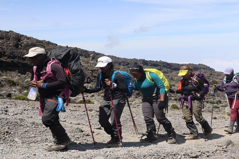 Kilimanjaro: 9 dias para você explorar a melhor rota do circuito norte