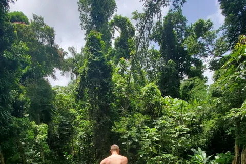 From San Juan: El Yunque Rainforest & Luquillo Beach Tour