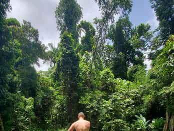 Ab San Juan: El Yunque Regenwald & Luquillo Beach Tour