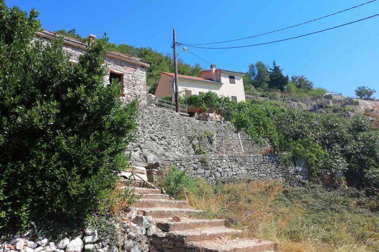 Unique gastro experience with locals in hills above Budva! Unique lunch experience with locals in hills above Budva!