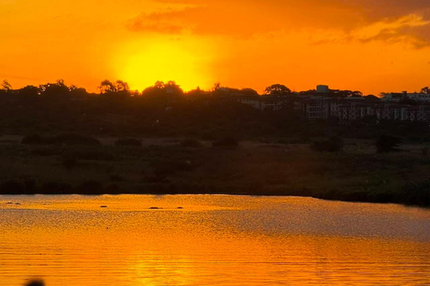 Nairobi National Park Night Safari with Armed Rangers