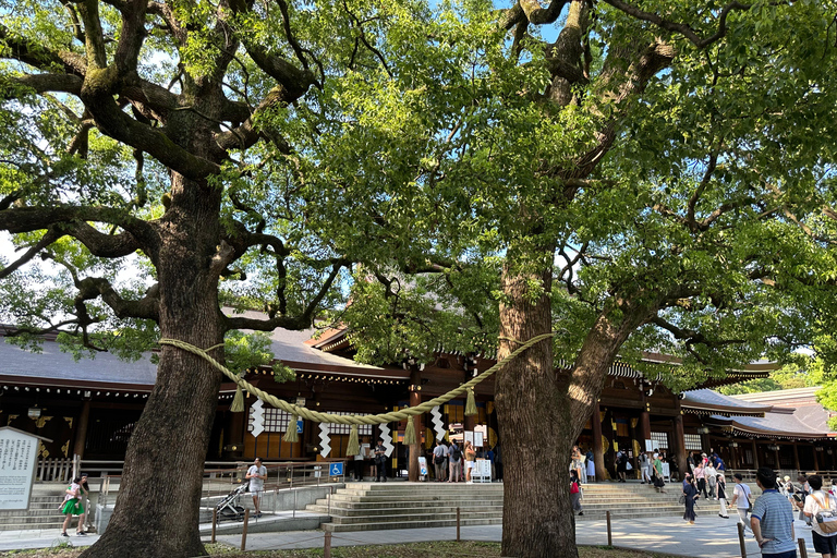 Tokyo: Meiji Jingu Shrine and Shinto Culture Walking Tour Meiji Shrine Walking Tour