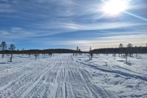 Levi: Photo Snowmobile Tour & Campfire Break