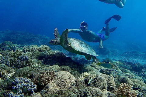 Gili Eilanden: Snorkel privé rondvaart met lokale gidsGroepsreis deluxe met trefpunt Gili Trawangan