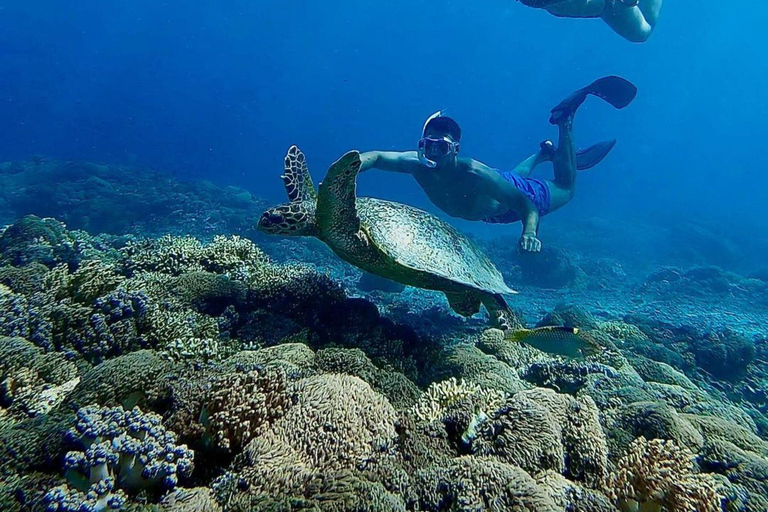 Gili Eilanden: Snorkel privé rondvaart met lokale gidsGroepsreis deluxe met trefpunt Gili Trawangan