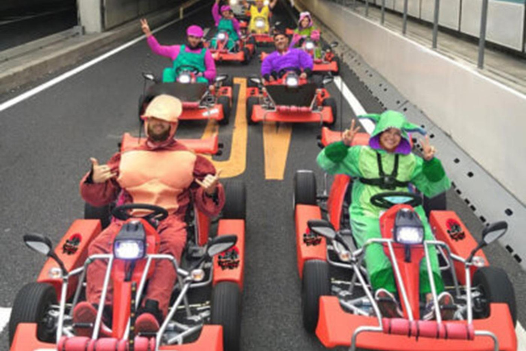 Go Kart Tokyo Uptown Tour - 7 destinations en 120 minutesTokyo : Circuit en karting dans les quartiers chics - 7 destinations en 120 minutes