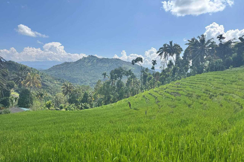 Kandy: Heeloya Village Tour with Lunch and Guide