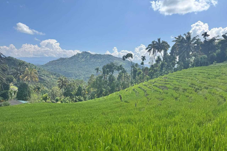 Kandy: Heeloya Village Tour with Lunch and Guide