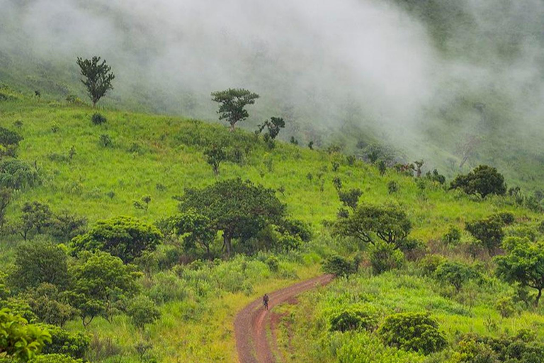 From Addis Ababa: 4-Day Alatish National Park Safari