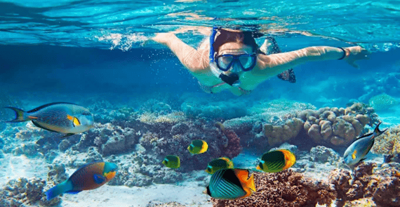 Zanzibar: Safari Blue Day trip with Snorkeling and Lunch