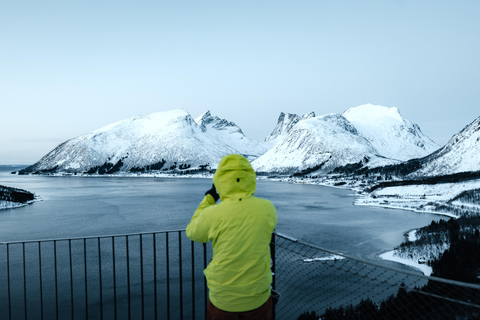 Tromsø: Senja Fjord & Landscape Tour in Chinese Small-Group