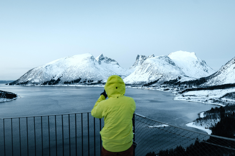 Tromsø: Senja Fjord & Landscape Tour in Chinese Small-Group