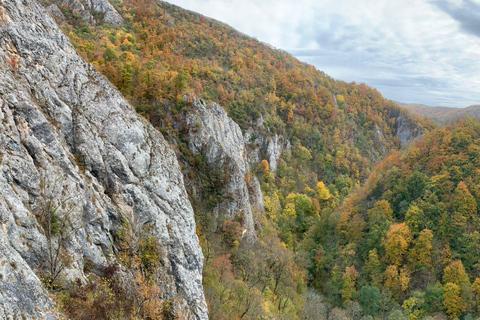 Brașov: Guided Gorge Hike, Caves, and Via Ferrata Adventure Brașov: Guided Hike and Caves