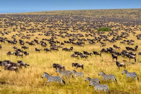 Safari aérien de 2 jours dans le Masai Mara