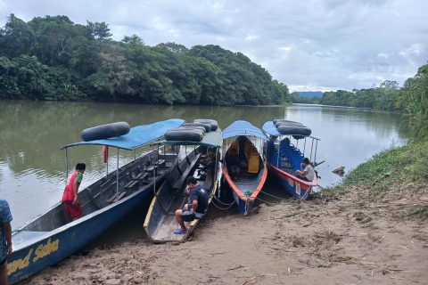 360 Jungle Tour Expedición Amazonia Ecuador