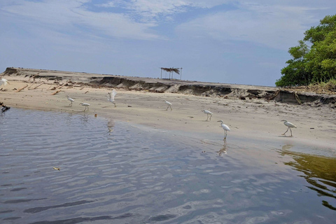 From Huatulco: Beach Horseback Riding Experience Regular Beach Horseback Riding Tour (2 hours)