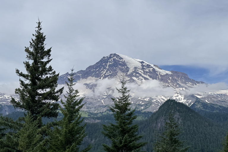Mount Rainier National Park Small-Group DayTour from Seattle