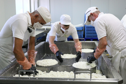 Tenerife - Visite de la ferme avec dégustation de fromageVisite de la ferme avec dégustation de fromages