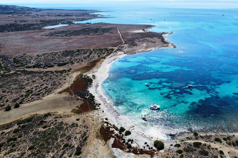 From Stintino: Asinara Sailboat Tour with Lunch Sailboat Tour and Lunch with 11 Seats