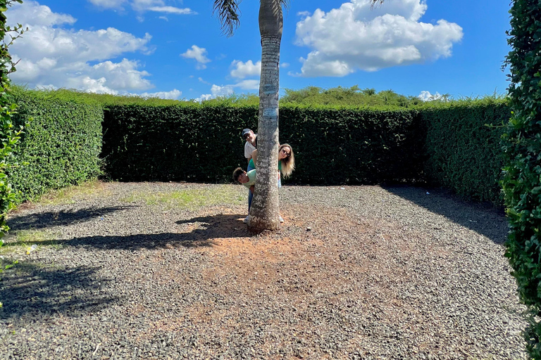 La Romana Half-Day Small Group Tour: Cave, Maze & Culture