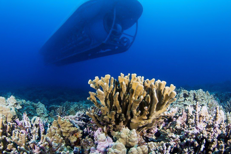 Von Kona aus: Big Island Unterwasser-U-Boot-Abenteuer