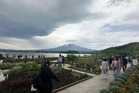 Tokyo: Tour guidato dall&#039;Ing di 2 giorni del Monte Fuji e della città di Tokyo