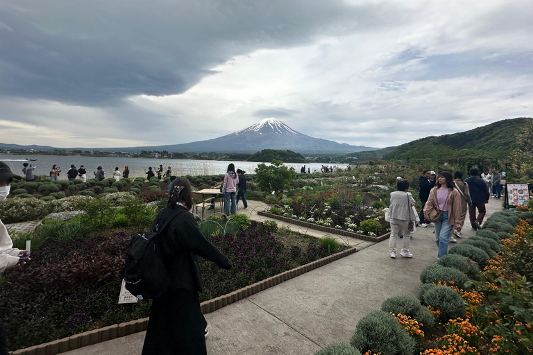 Tokyo: Tour guidato dall&#039;Ing di 2 giorni del Monte Fuji e della città di Tokyo