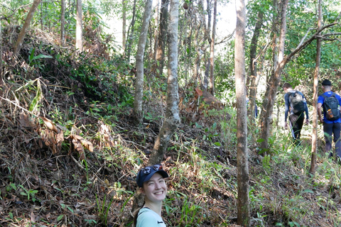 Santuario de My Son y Senderismo de Montaña - PeregrinaciónMi hijo Santuario Viaje de madrugada