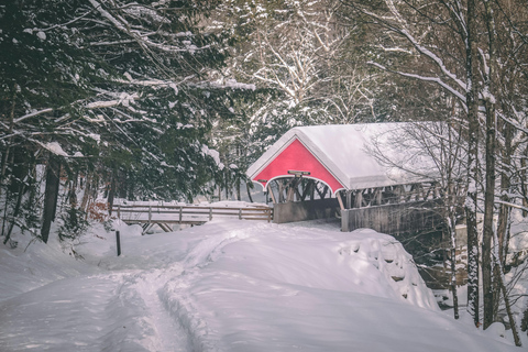 Luzern: Schneeschuhwanderung zum Glaubenberg Langis