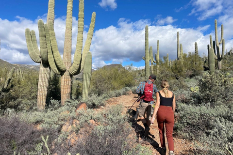 Cave Creek: Private Guided Sonoran Desert Hiking Tour