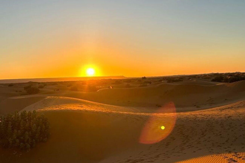 Tataouine: Ksar Ghilane Desert Tour – Dunes and Traditions (Noon to Noon) Tataouine: Ksar Ghilane Desert Tour - Dunes and Traditions (Noon to Noon)