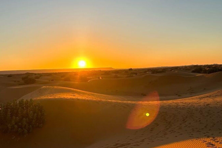 Tataouine: Ksar Ghilane Desert Tour – Dunes and Traditions (Noon to Noon) Tataouine: Ksar Ghilane Desert Tour - Dunes and Traditions (Noon to Noon)