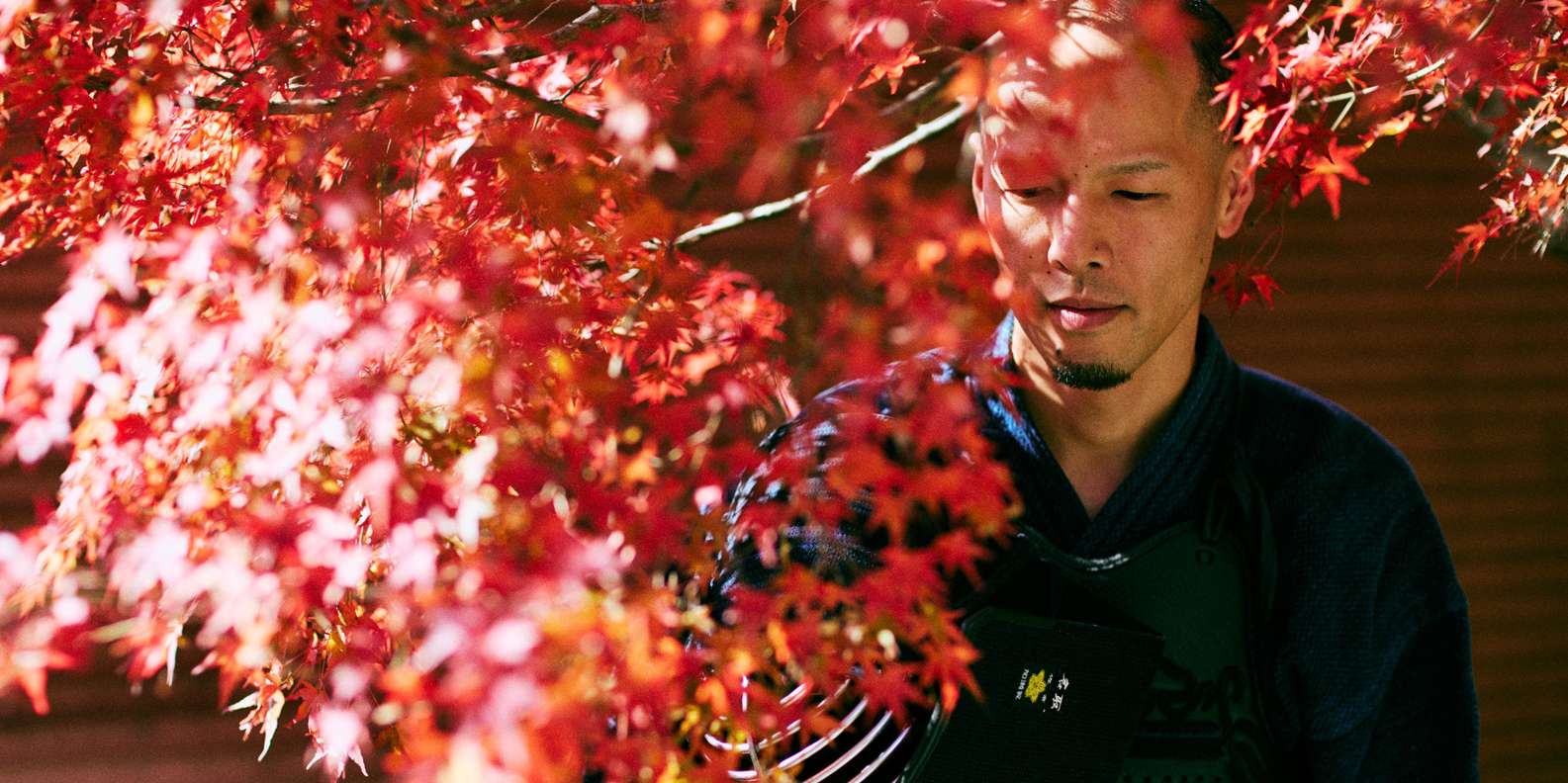 Kyoto experience — temples, geisha, bamboo grove — image 33