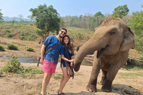 Chiang Mai: Halbtag Living Green Elephant SanctuaryVormittagssitzung: Halbtag Living Green Elephant Sanctuary