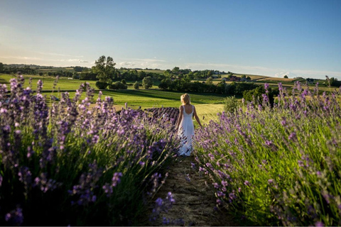 Krakow: Privat tur till lavendelfält och vinprovningKraków: Privat tur till lavendelfält och vinprovning