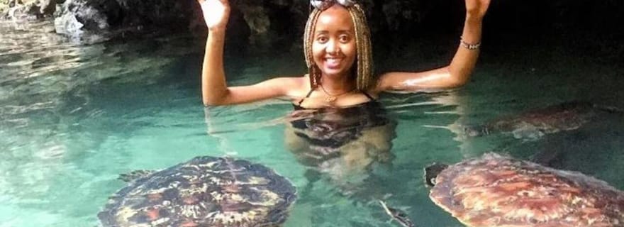 Zanzibar : Plongez avec les tortues de mer