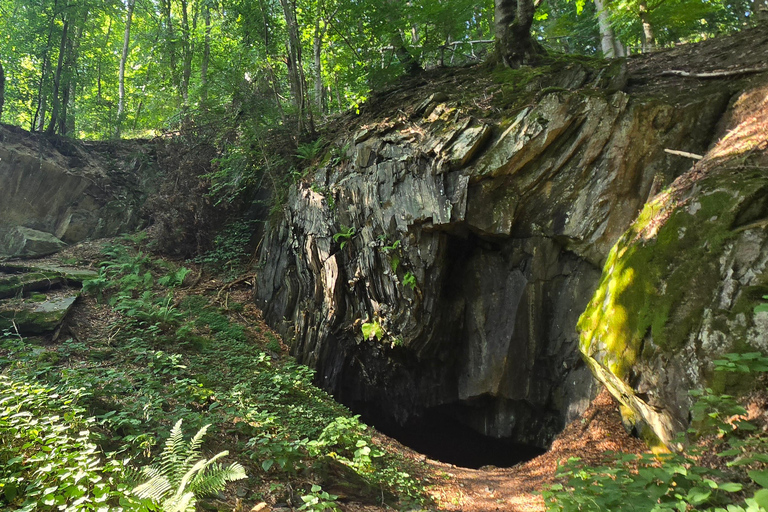 Guided hike on the Rhine Heights Tour St. Quintin