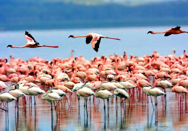Visit 1 Day Arusha National Park tour in Dehradun
