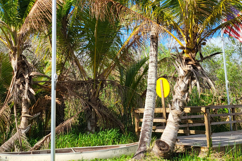 Everglades: boat tour with transportation& entrance included